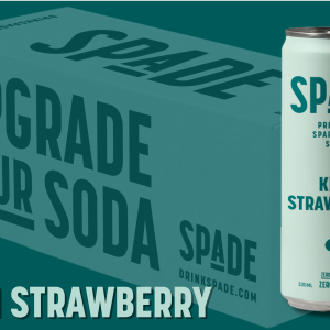 Kiwi Strawberry 12PK - Default Title